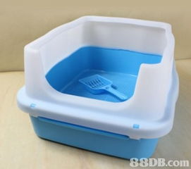 宠物用品批发新篇章 petshop 8888转型与搬迁公告